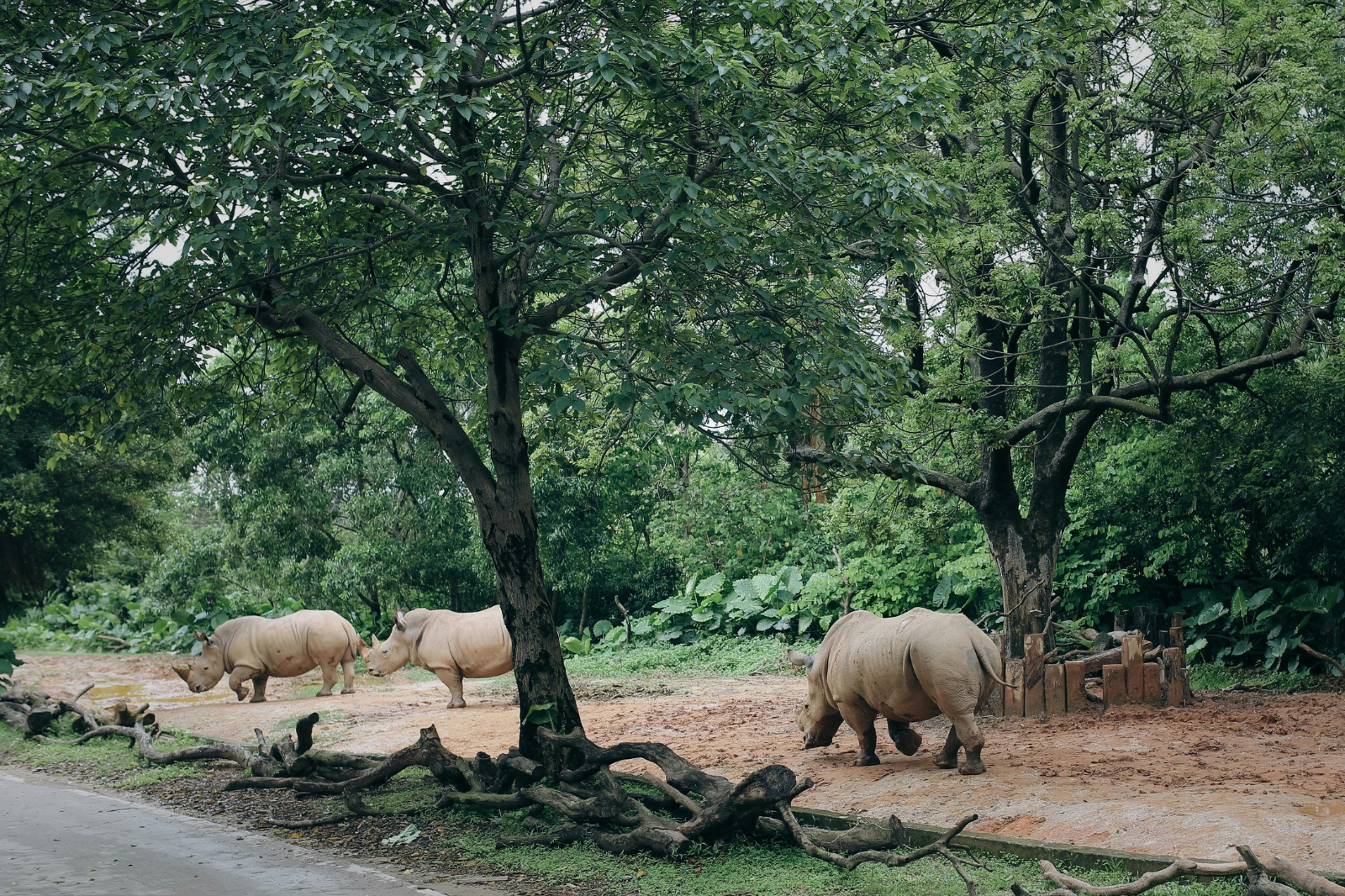 Sustainable Craft Workshop